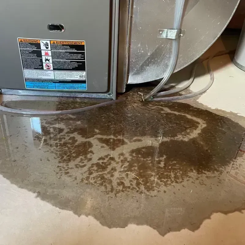 Appliance Leak Cleanup in Sylvan Lake, MI